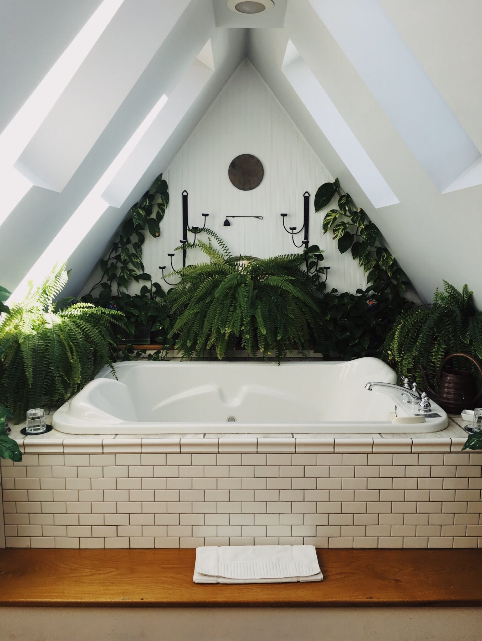 What Plants Can Survive in a Bathroom?