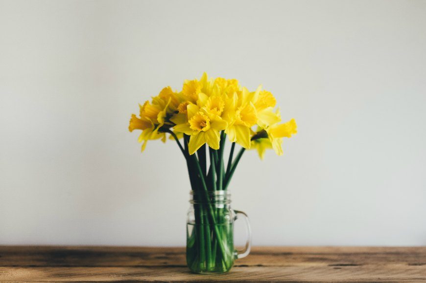 daffodils in a clear mason jar on a wooden table